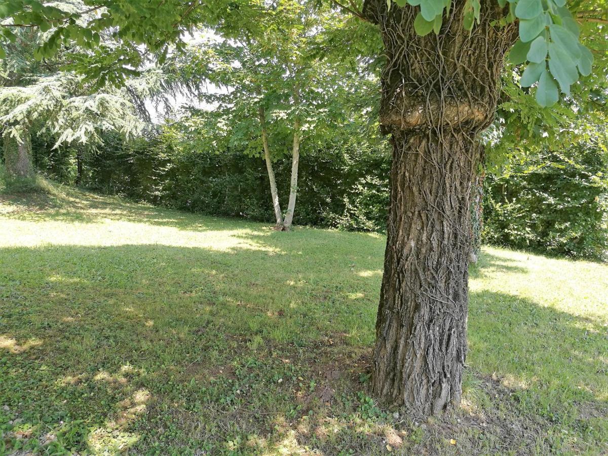 Douceur En Campagne Apartment Espalion Bagian luar foto